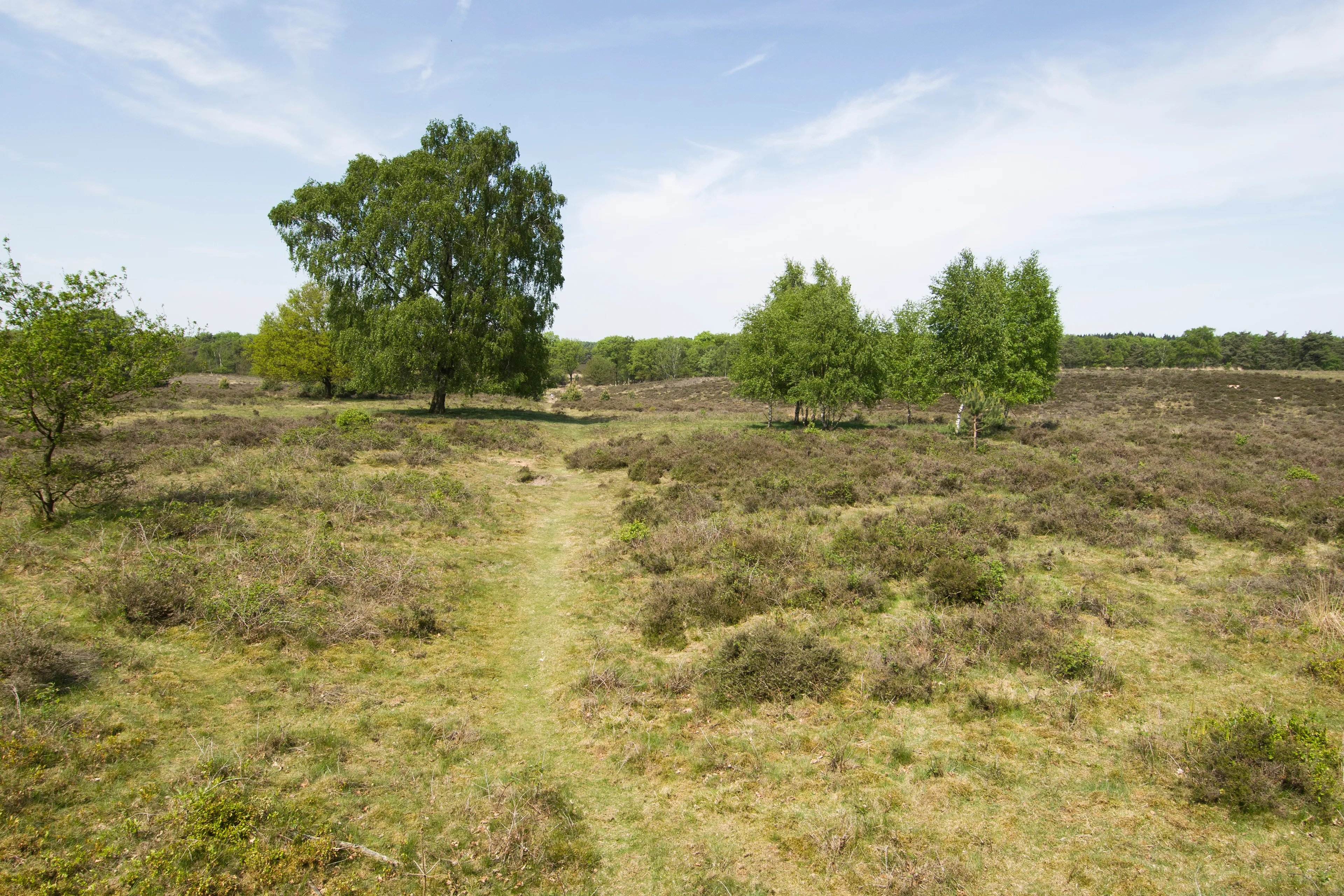 informatieavond recreatiezonering wolfheze natuurmonumenten wim kluvers