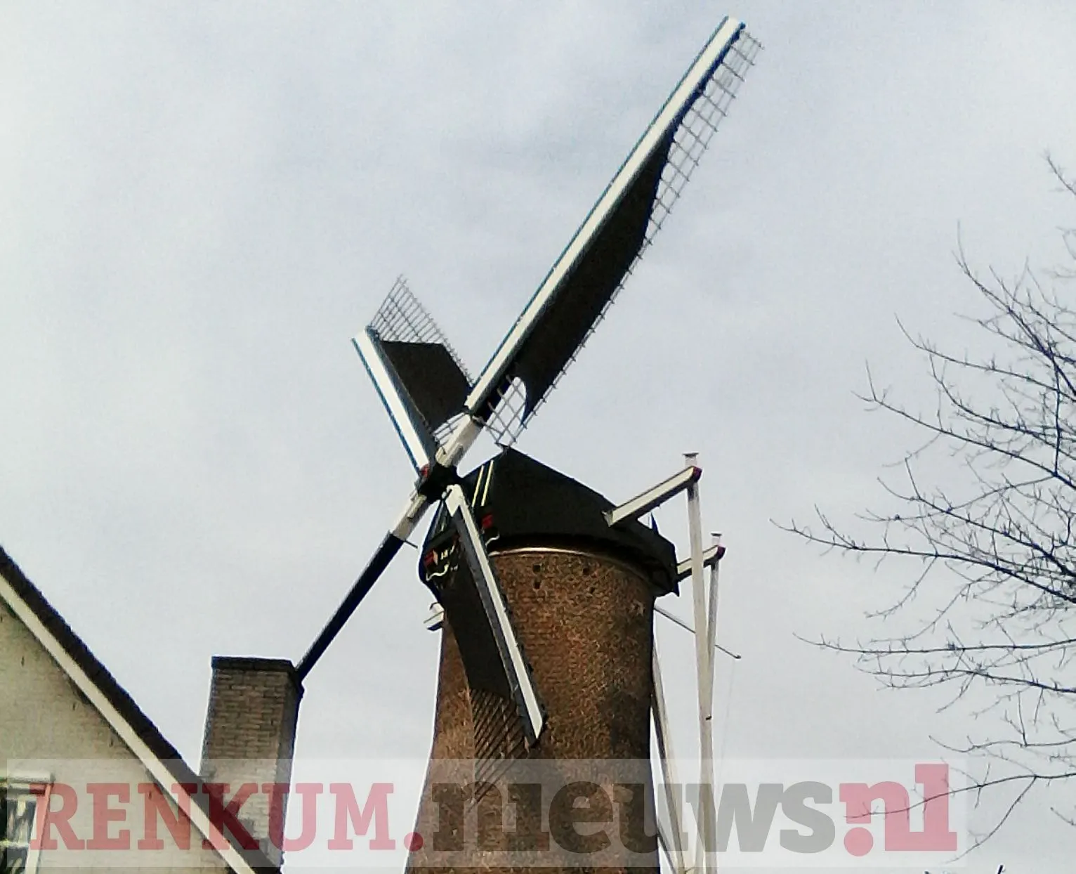 molen wieken