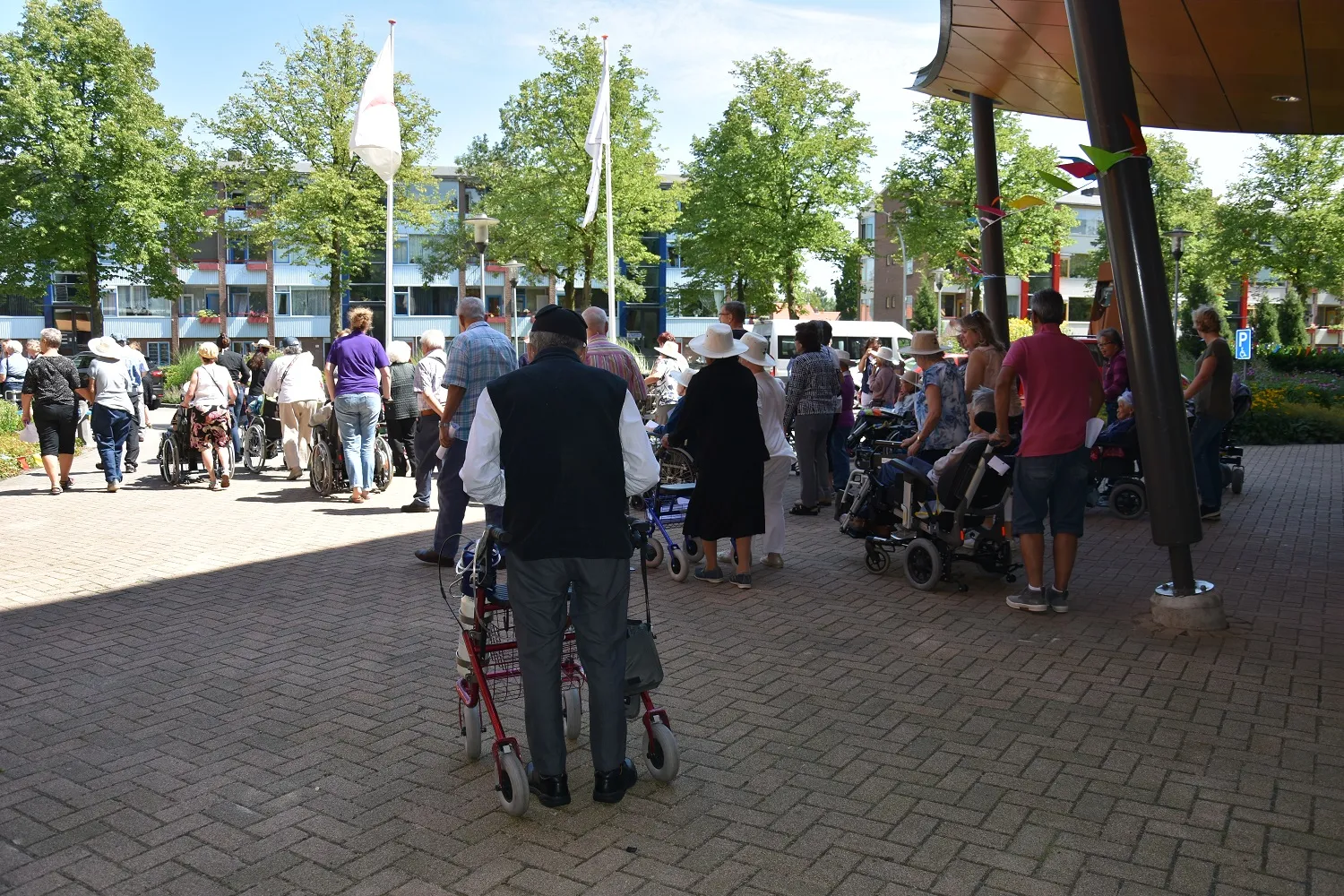 persbericht ouderen wandelen vierdaagse