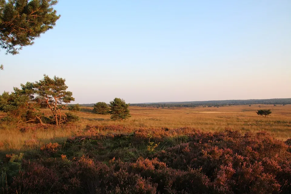 veluwe rianne van der wal pixabay