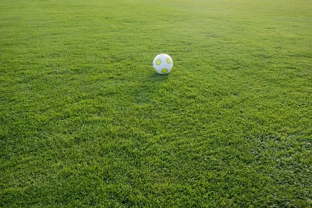 voetbal op veld