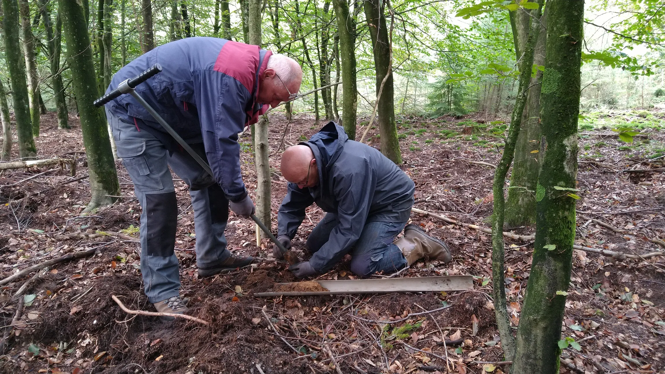 vrijwilligers boren in het speulderbos foto eva kaptijn