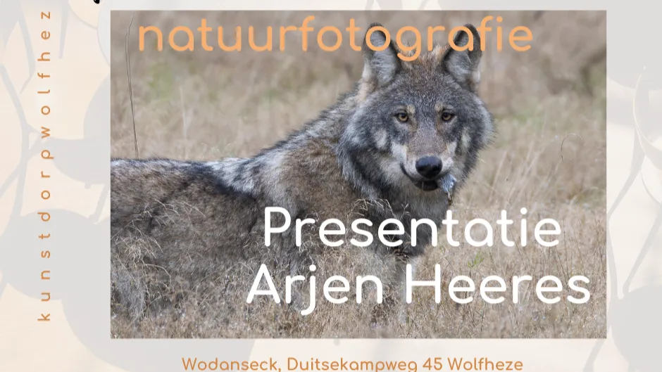 arjen heeres februari