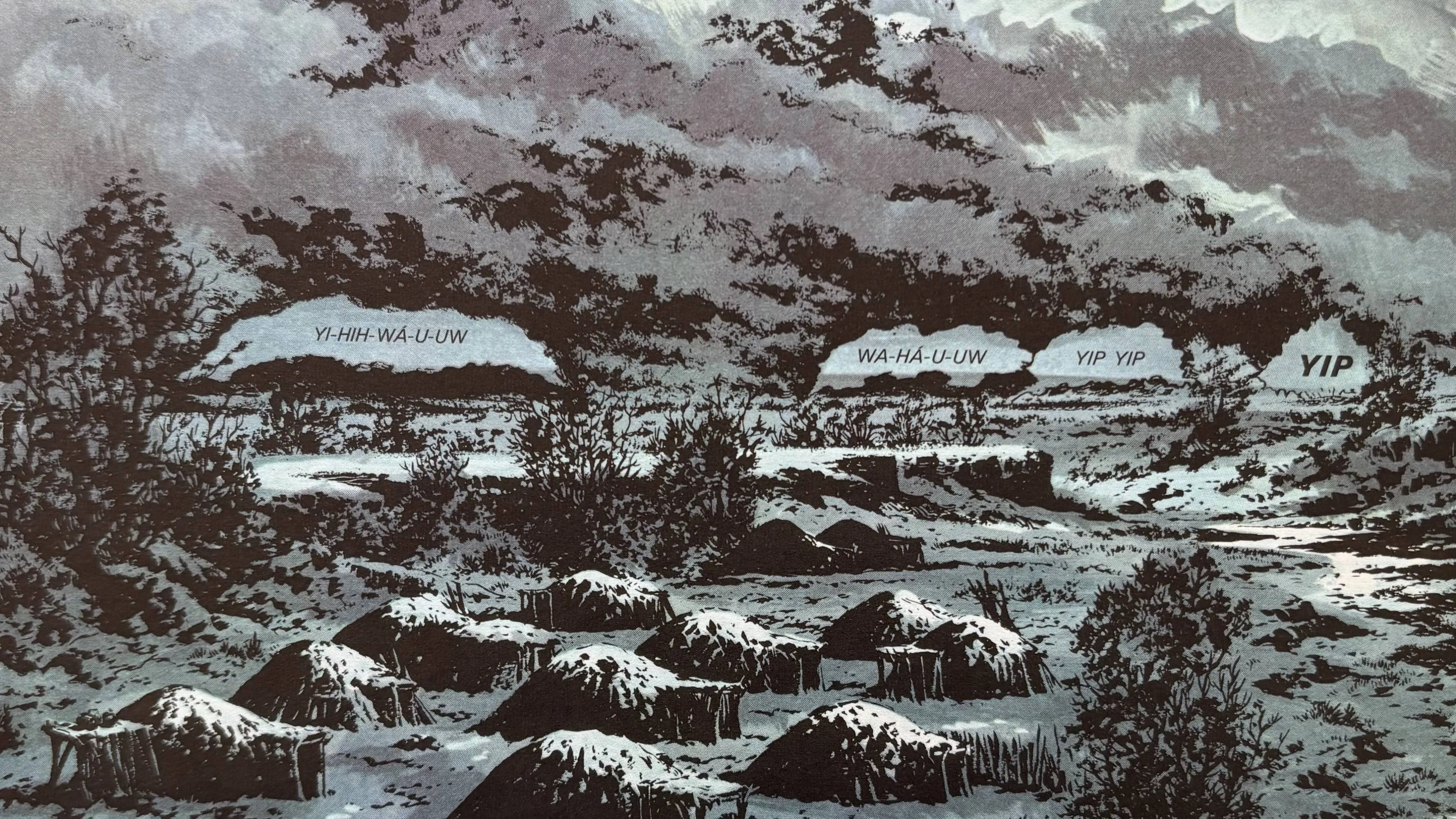 landschap kresse 3