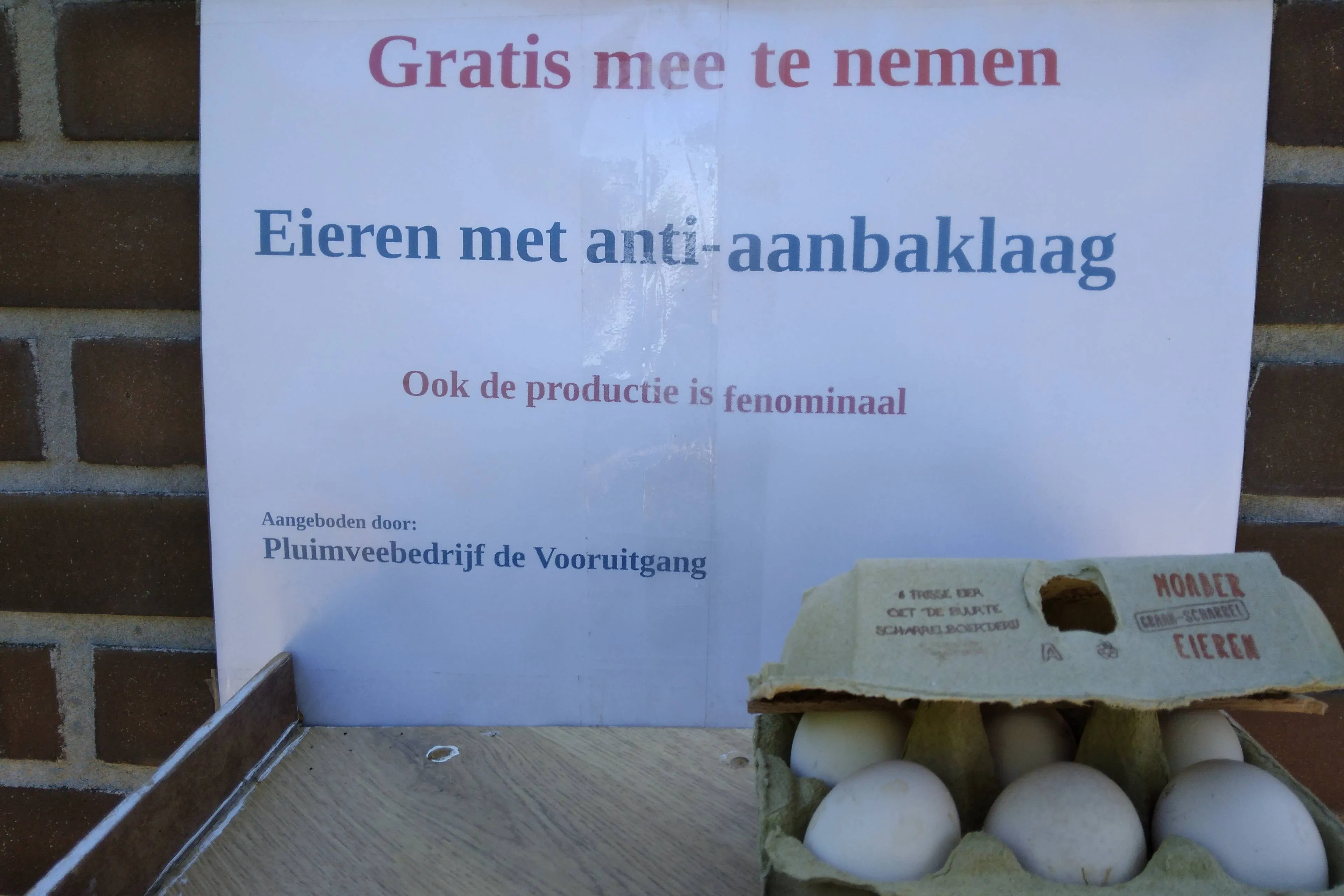 foto pfas eieren