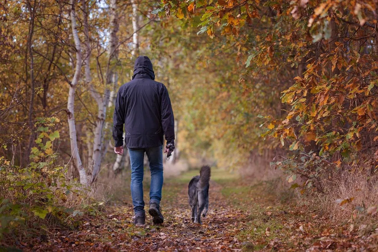Herfstwandeling Schroederhund Pixabay