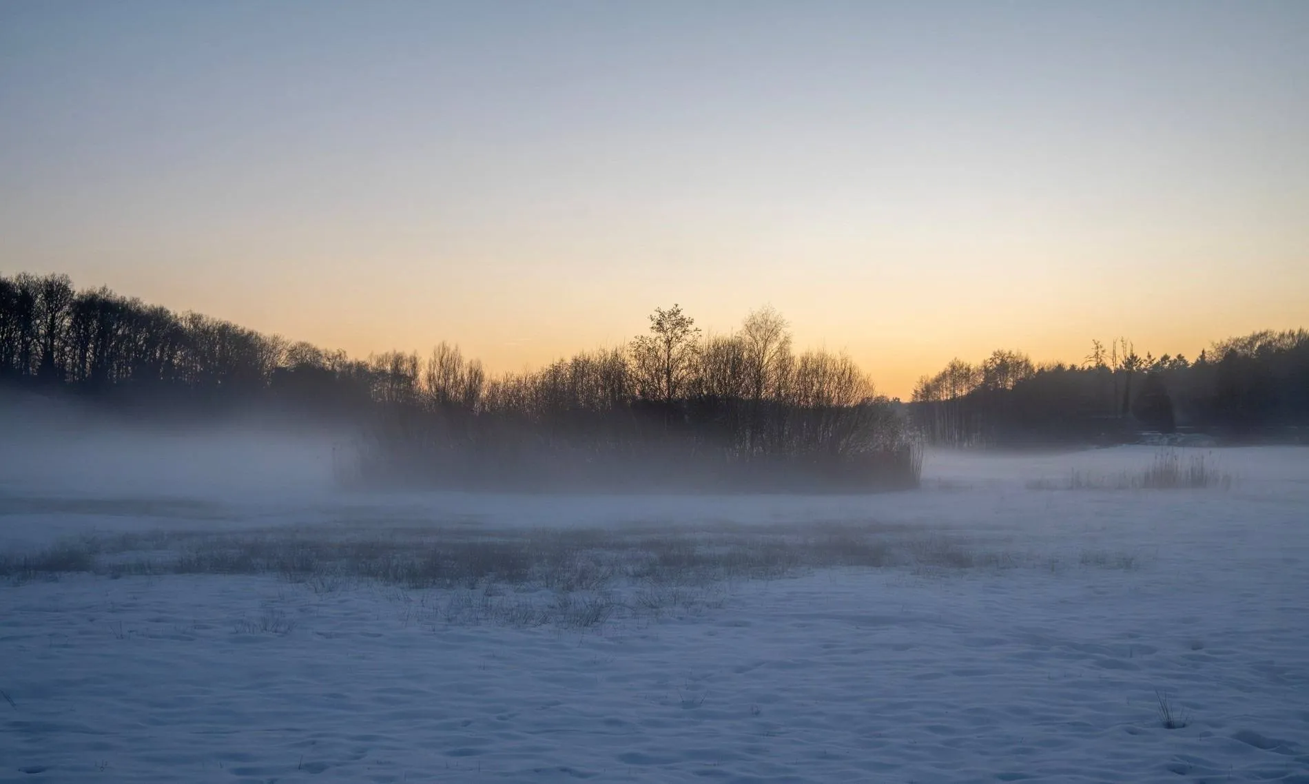 winter-in-het-beekdal-2026-bij-gebiedsproces