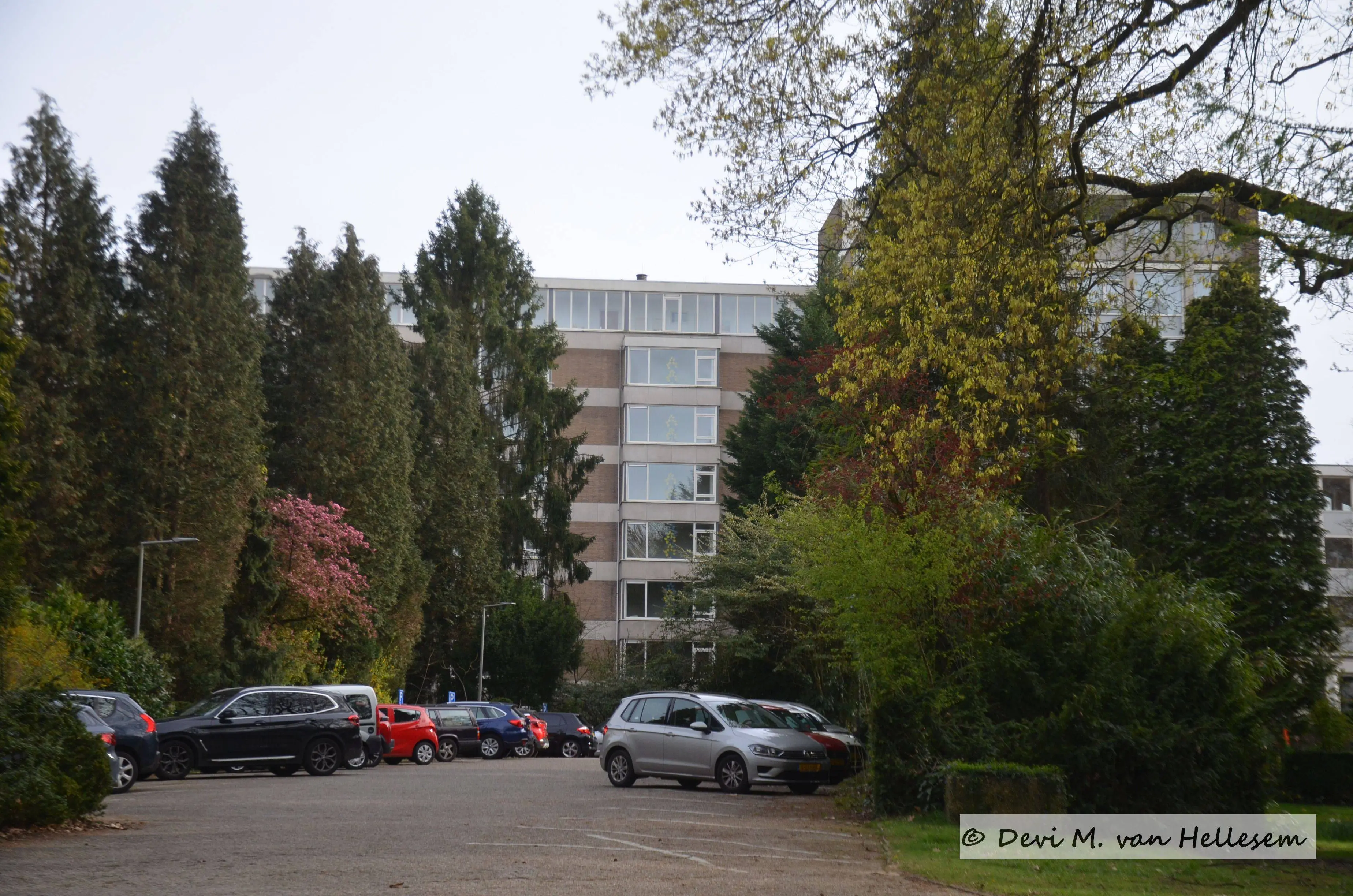 Valkenburcht (3)