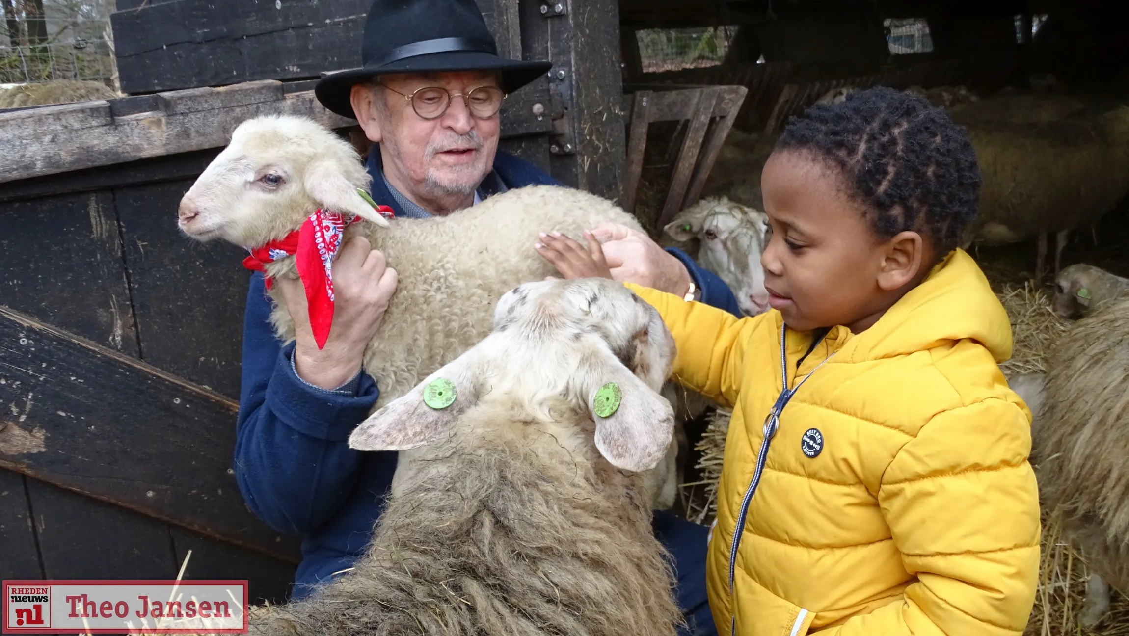 17 02 2021 adoptie 1e lammetje door hans westdijk rhedense schaapskudde 12
