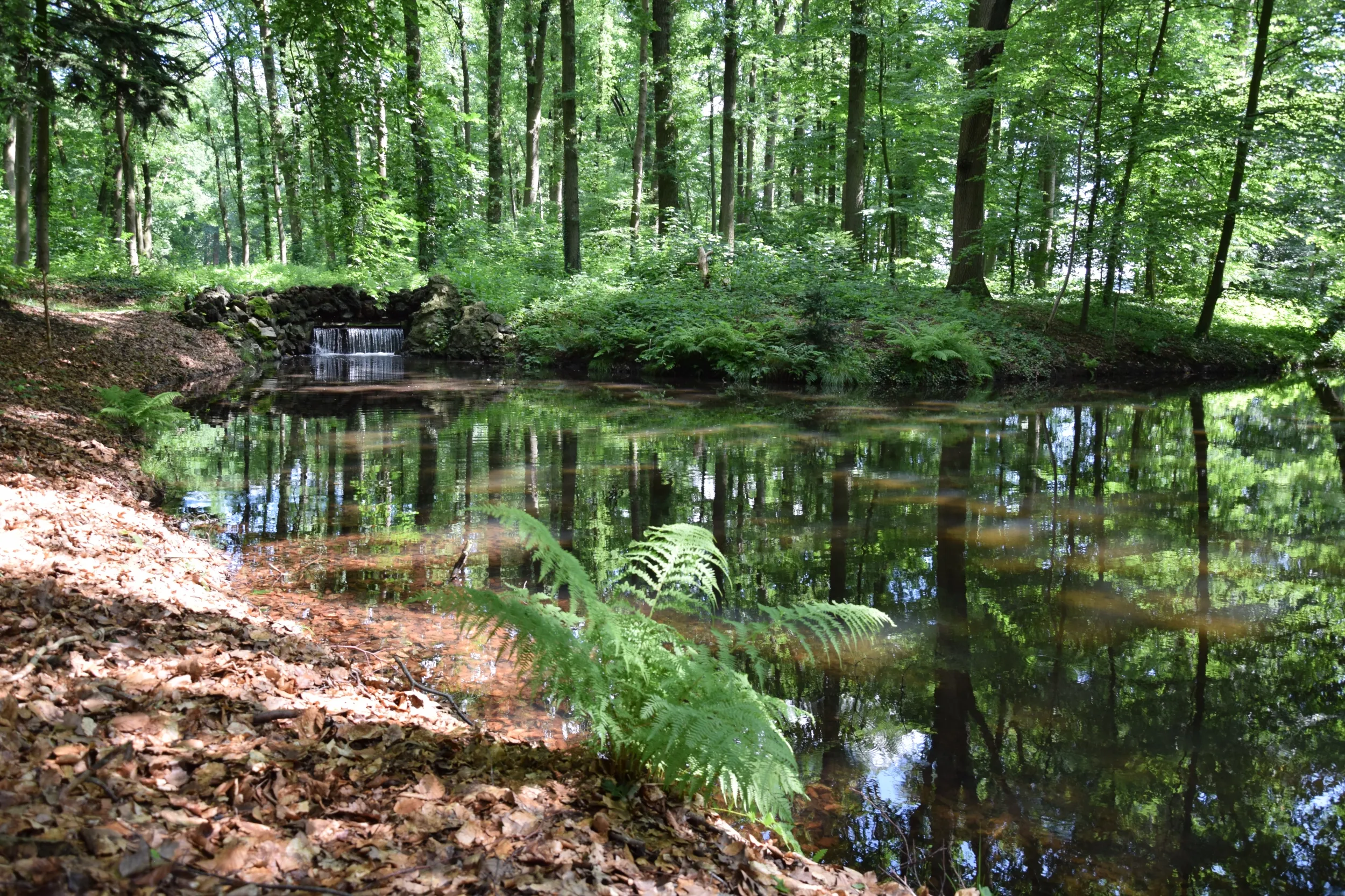 biljoen beekdalwandeling foto floor ten brink