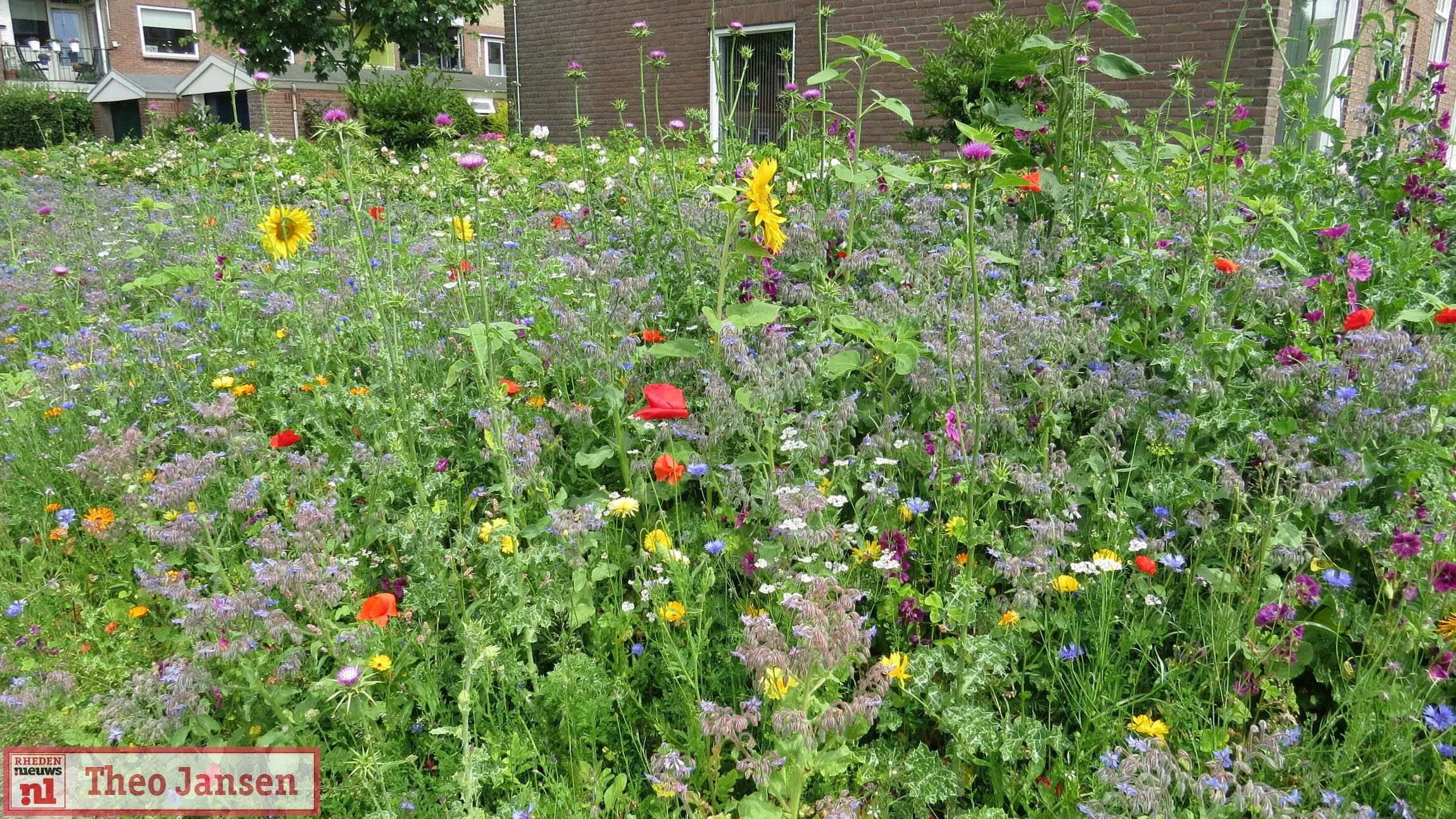 biodiversiteit rhedennieuwsnl