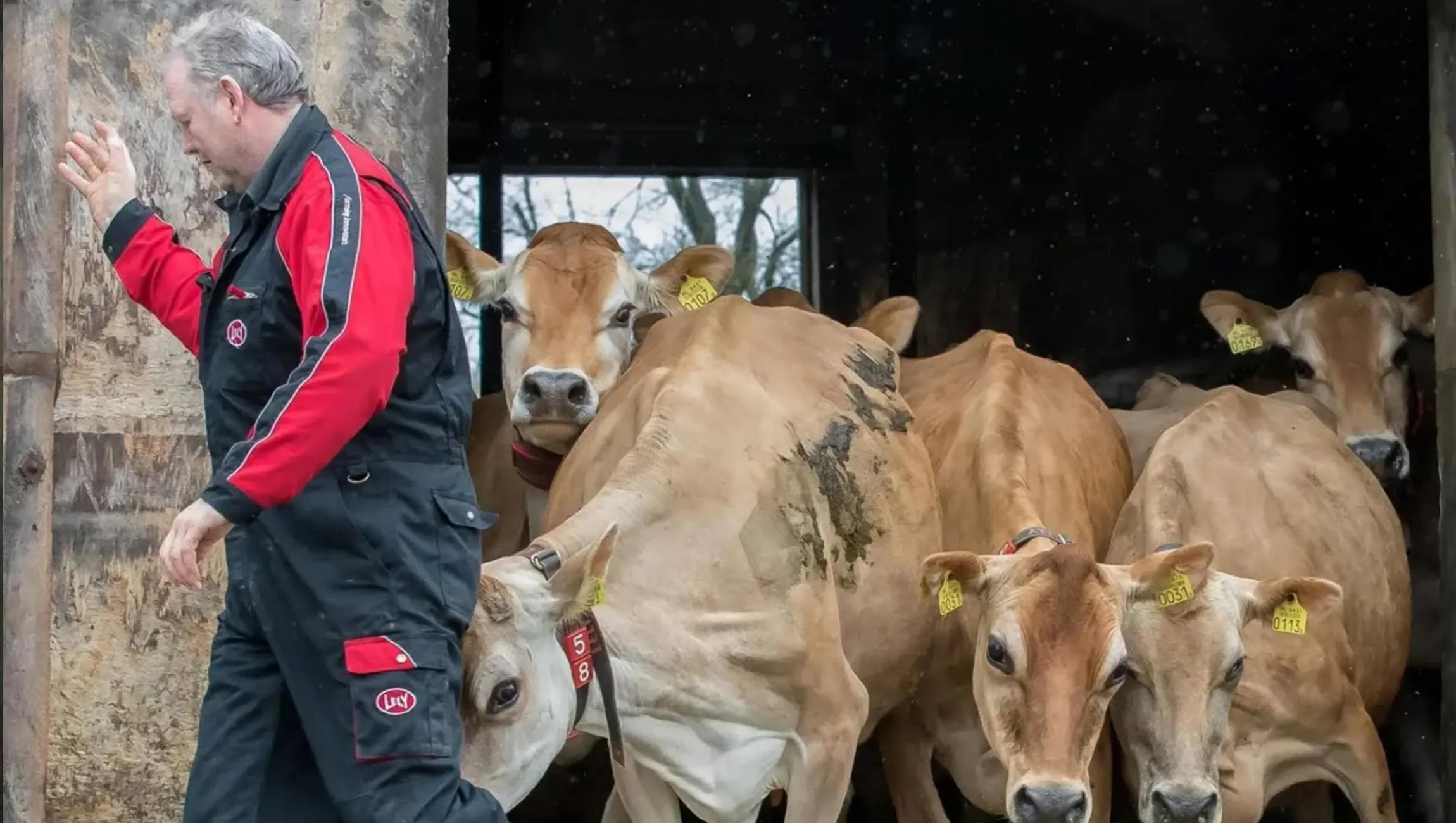 biologische boerderijwinkel de nieuwenburgt1