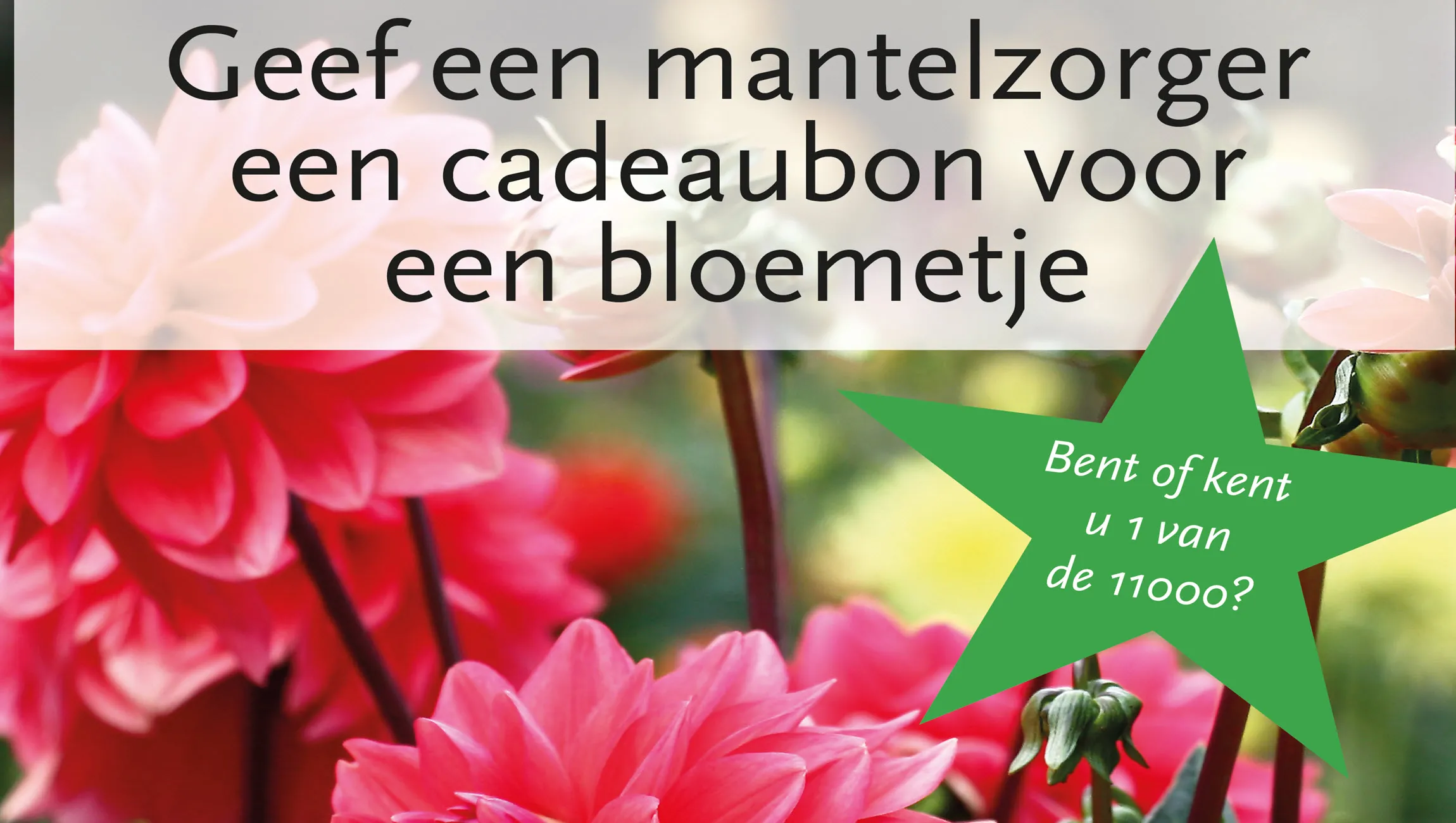 bloemenbon mvt rheden