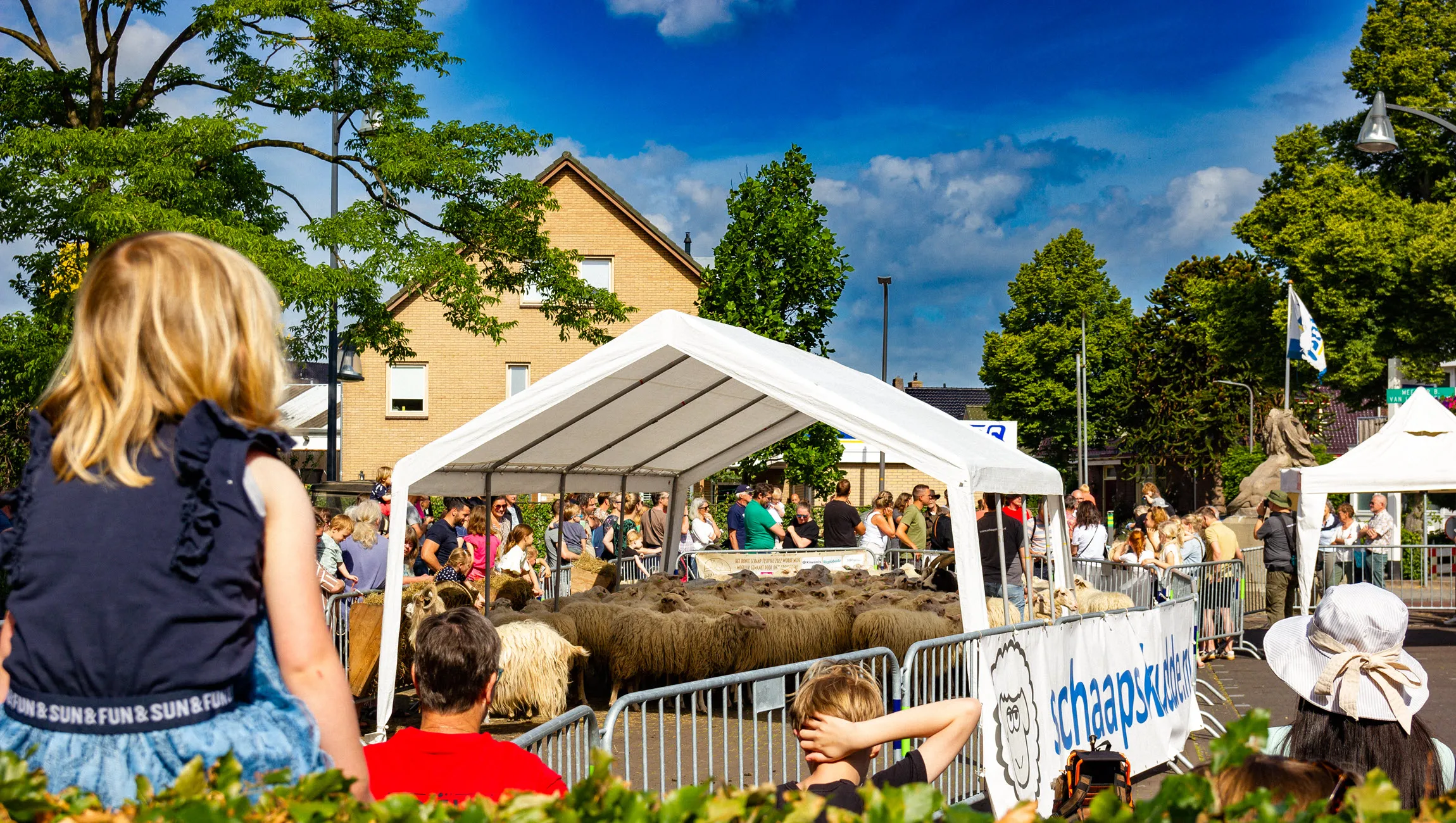 bonte schaap 2022 vincent riebroek