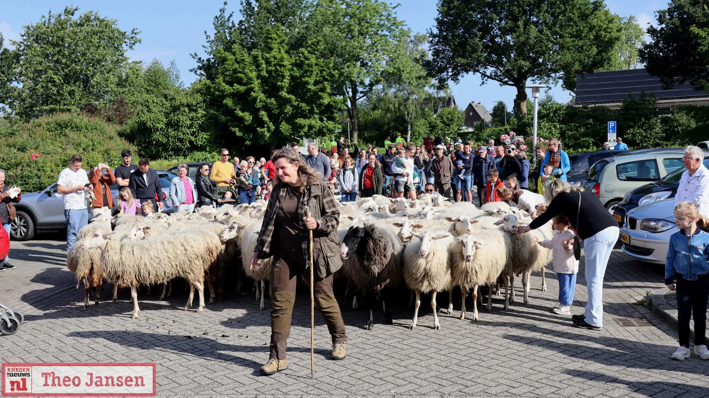 bonte schaap festival 2024 1