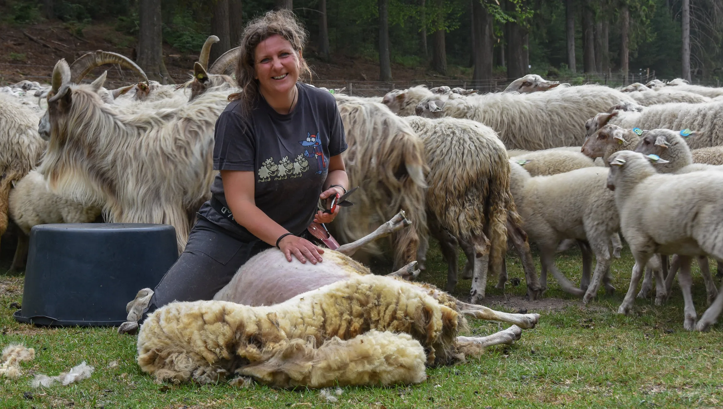 bonte schaap festival 2024 herderin cynthia rietta veldhuis