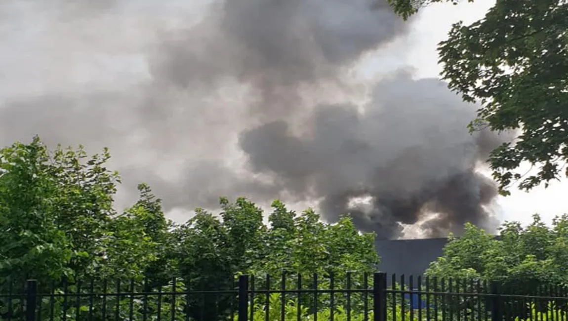 brand gazelle dieren 2019 06 05 at tweetsvansan