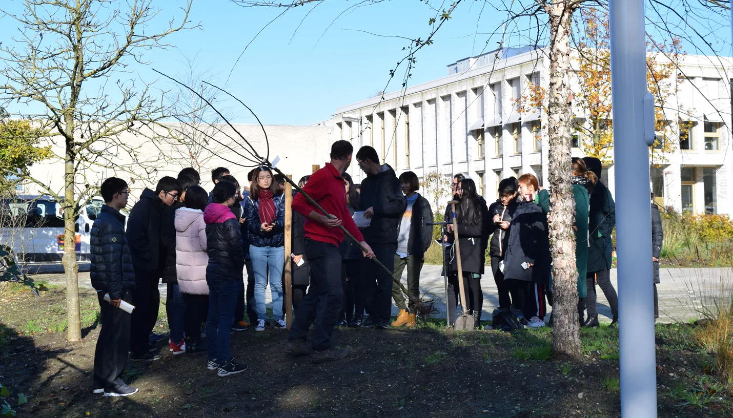 chinese studenten leren bij aeres mbo velp