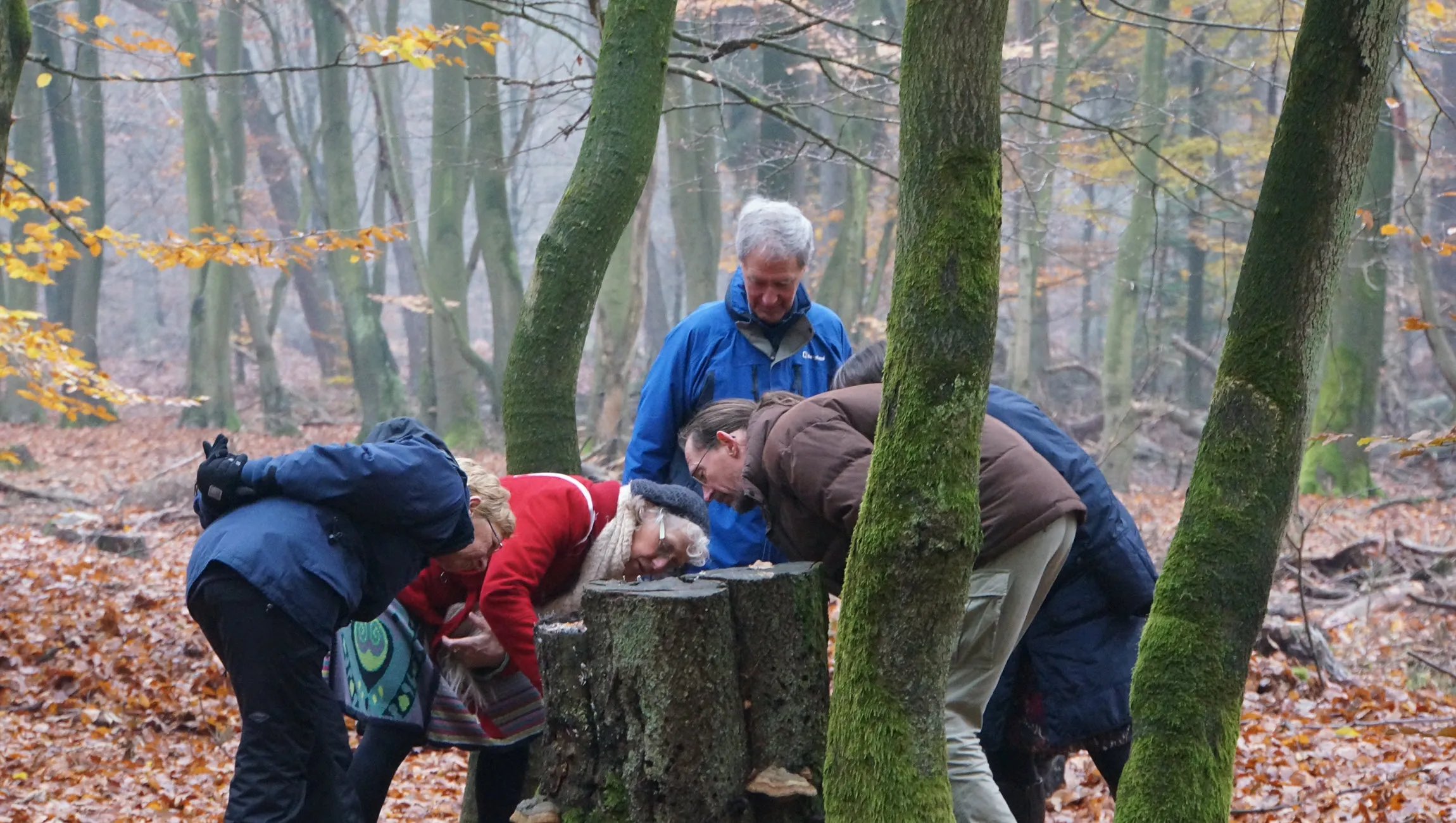 cursus natuurgids ivn2 ivn oost veluwezoom en ivn arnhem