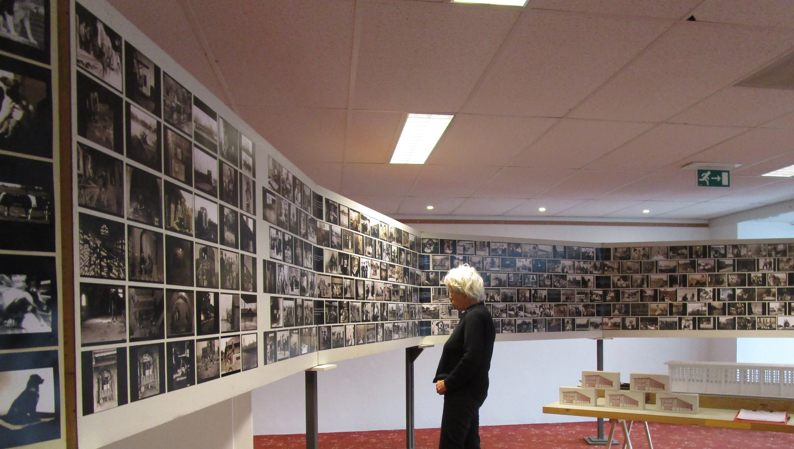 de weert 1 1