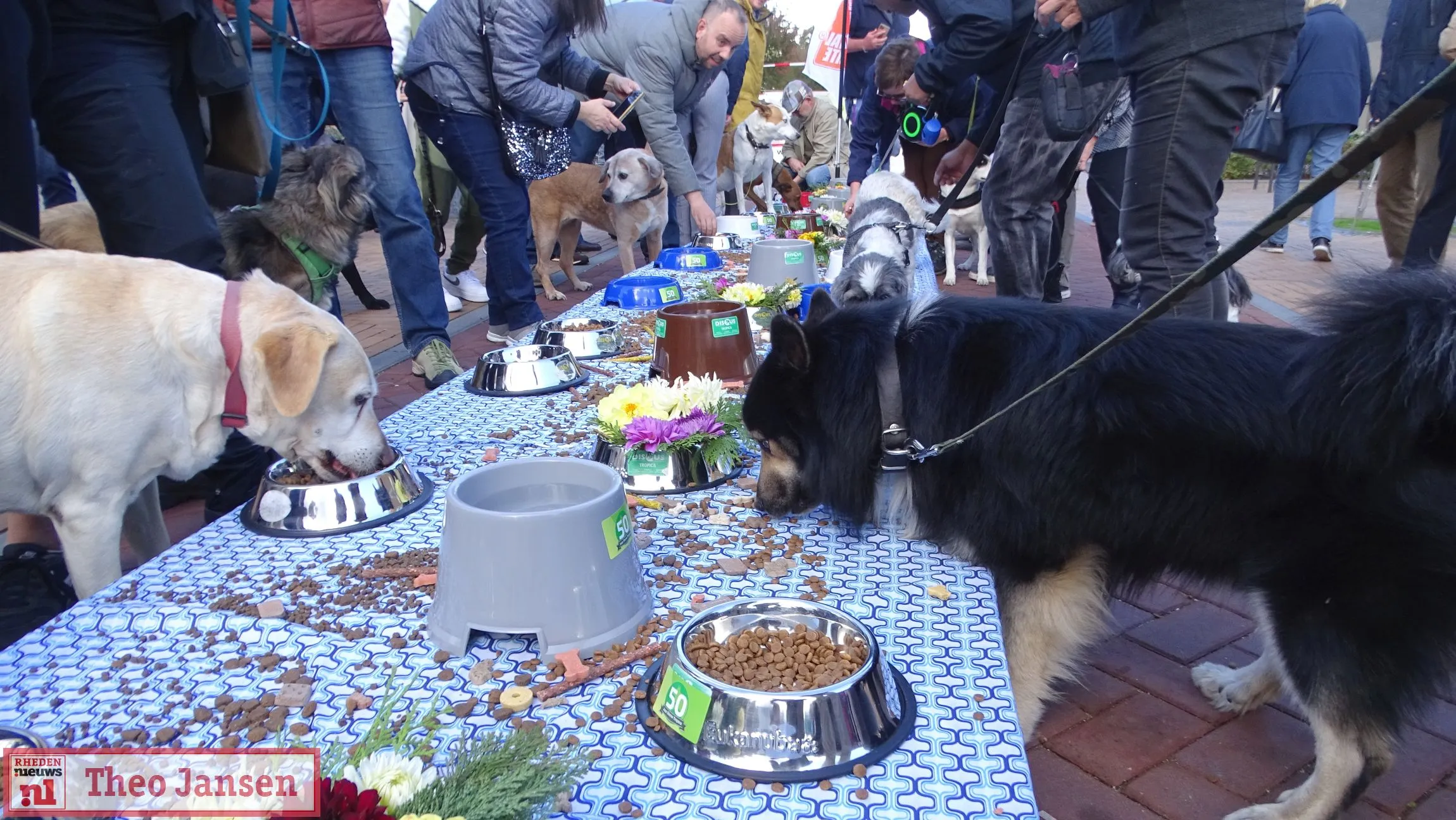 dieren met dieren dierenbuffet 2022 1