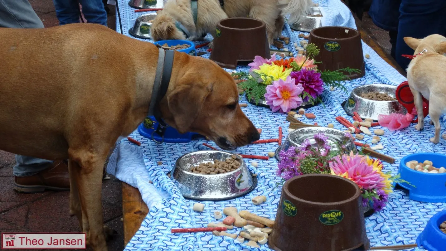 dierenbuffet 07 10 2017 dieren 9