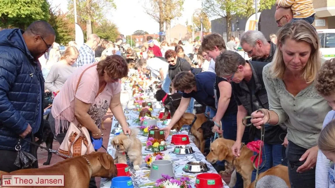 dierenmetdieren buffet rhedennieuwsnl