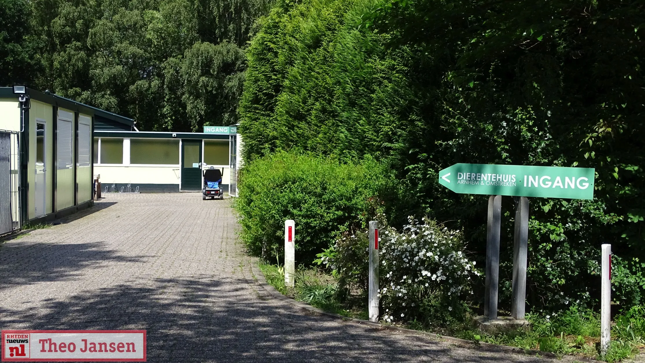 dierentehuis arnhem en omstreken 1