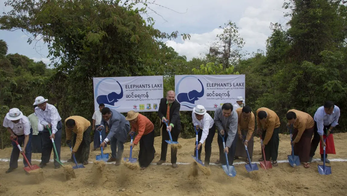 elefant lake myanmar stichting vier voeters