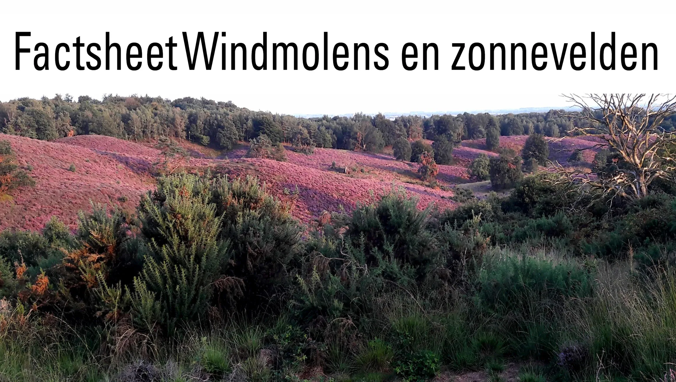 factsheet windmolens en zonnevelden rheden rationeel