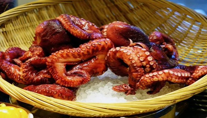 fotercom octopus