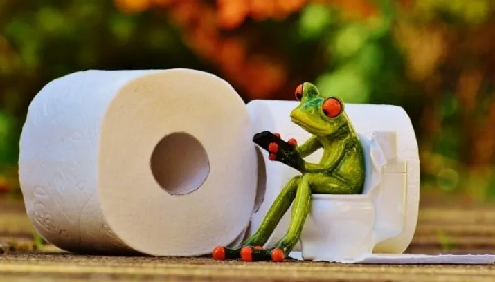 frog toilet loo session funny toilet paper wc 1