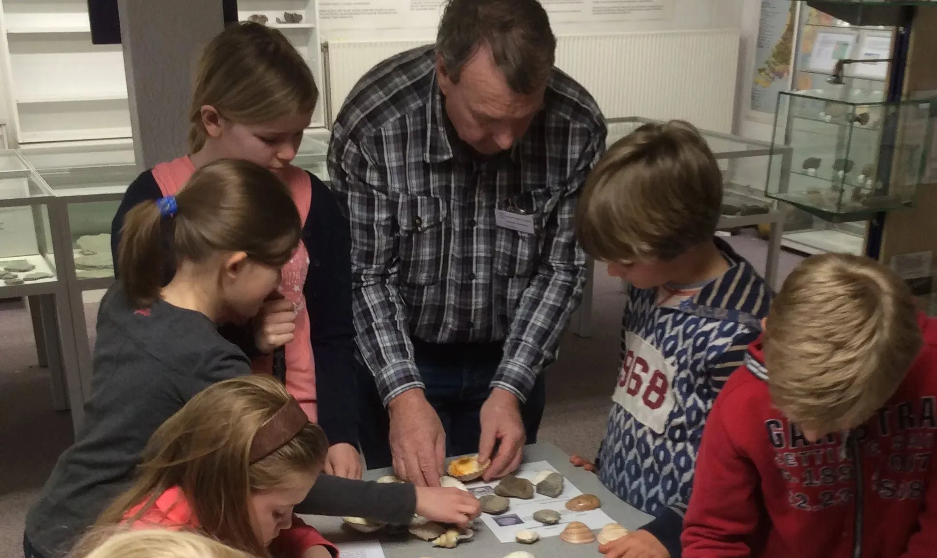 gelders geologiesch museum velp