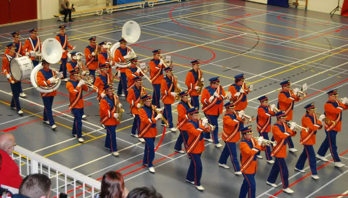 gelreband dieren taptoe