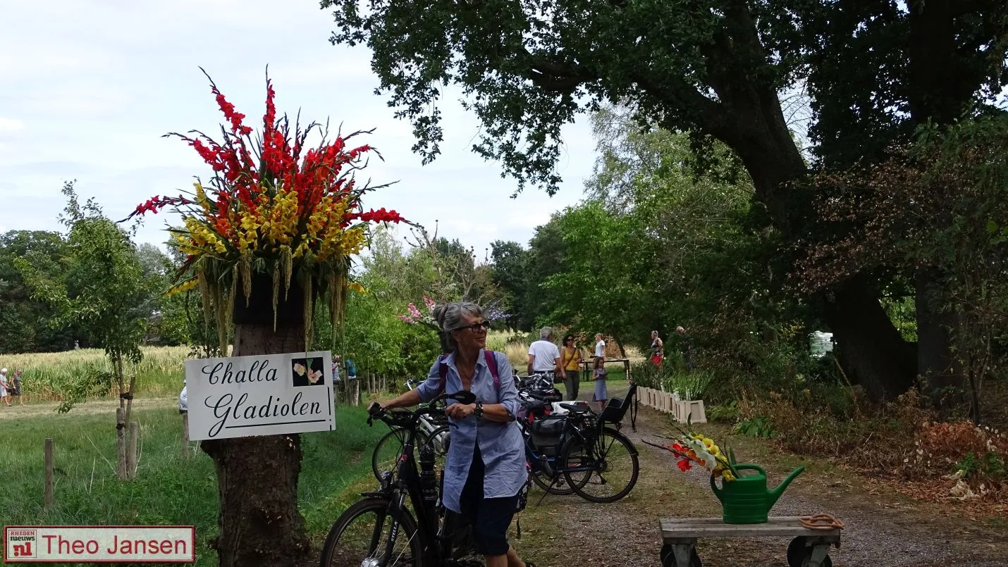 gladiolenfestival 2018 12