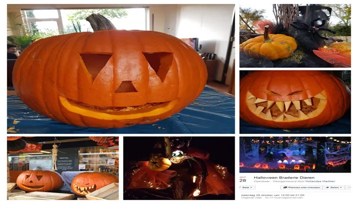 halloween braderie dieren