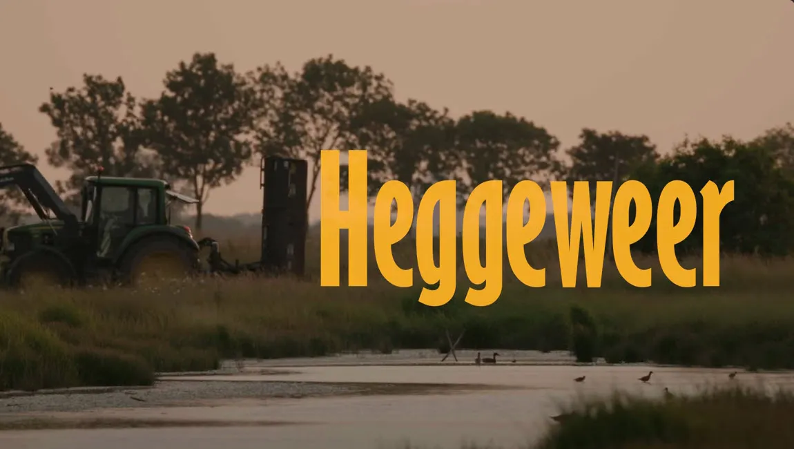 heggeweer erik den doel bram sturm