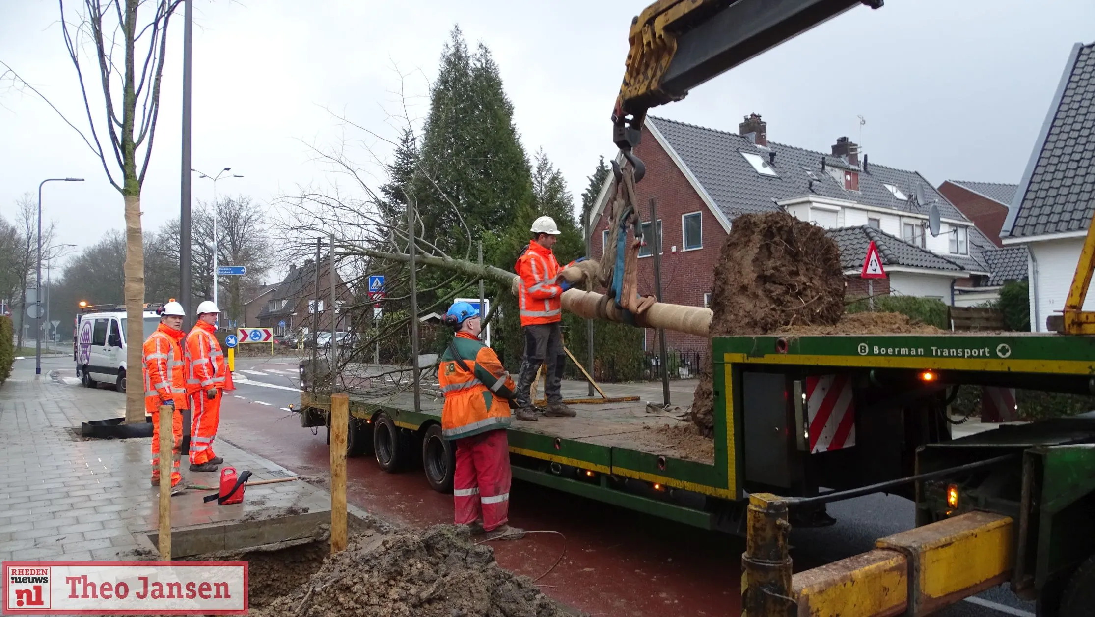 herplanten 39 lindebomen nordlaan en daalhuizerweg velp 01 2019 14