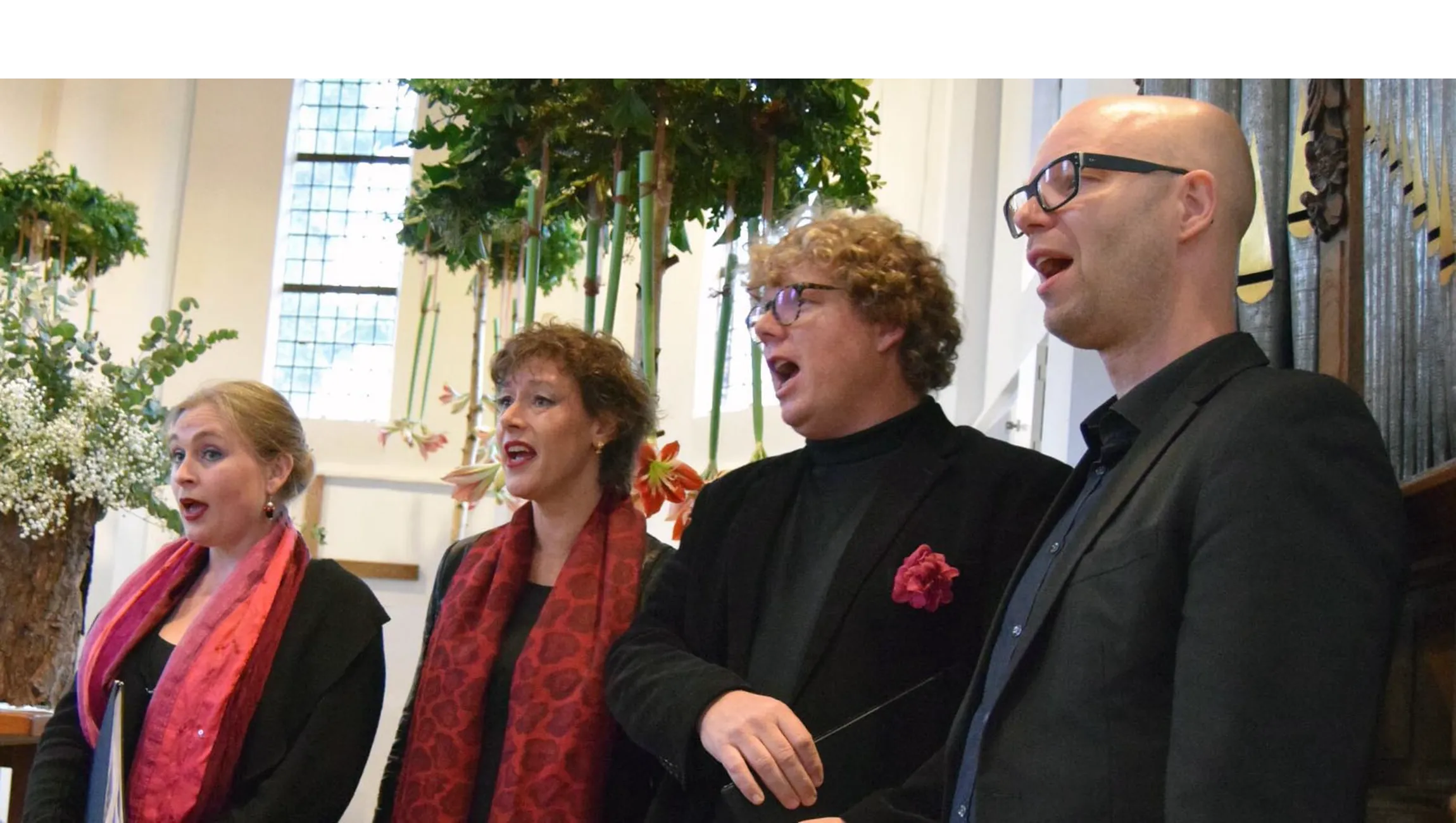 het huygens consort