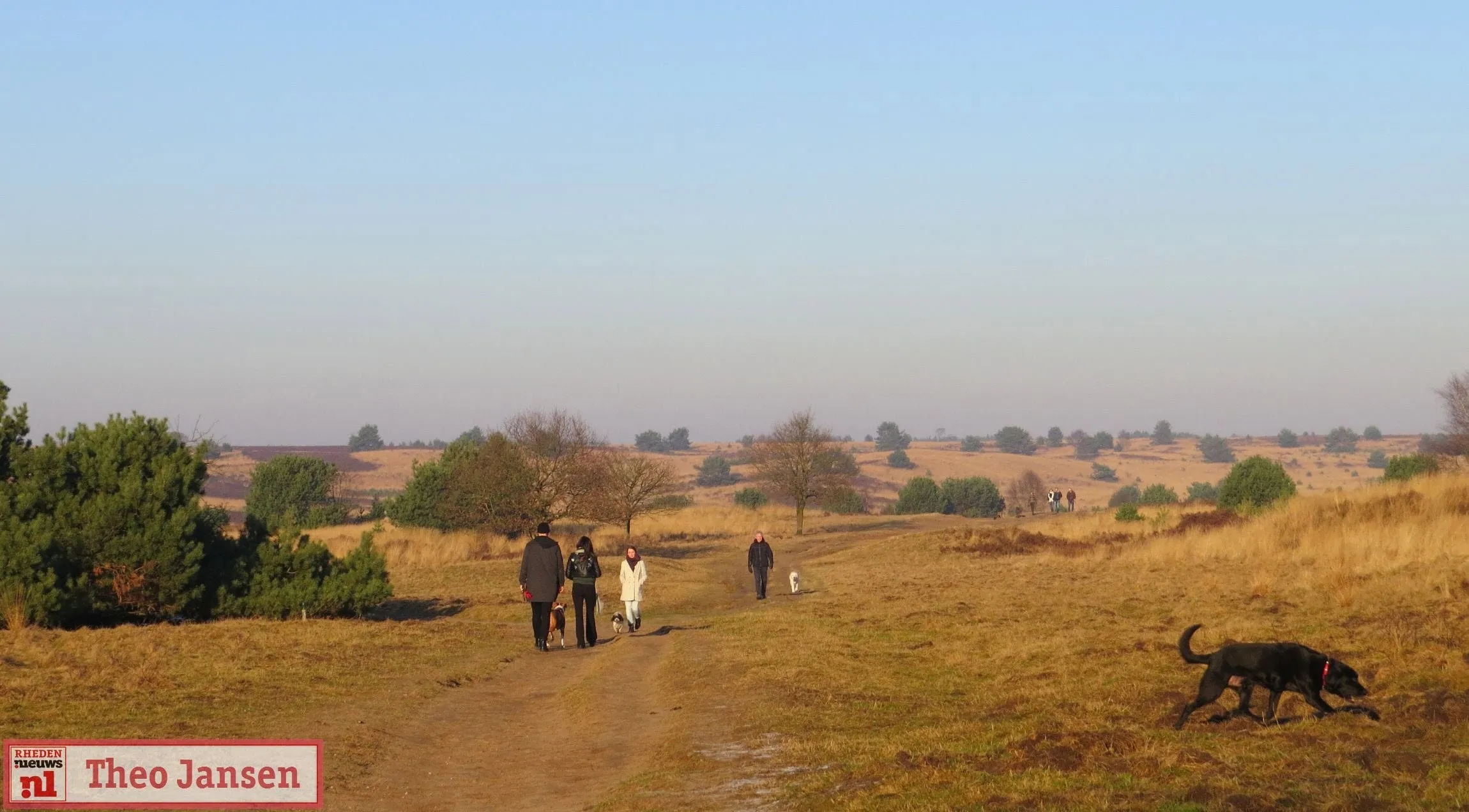 hondenlosloopgebied rozendaalse veld rhedennieuwsnl