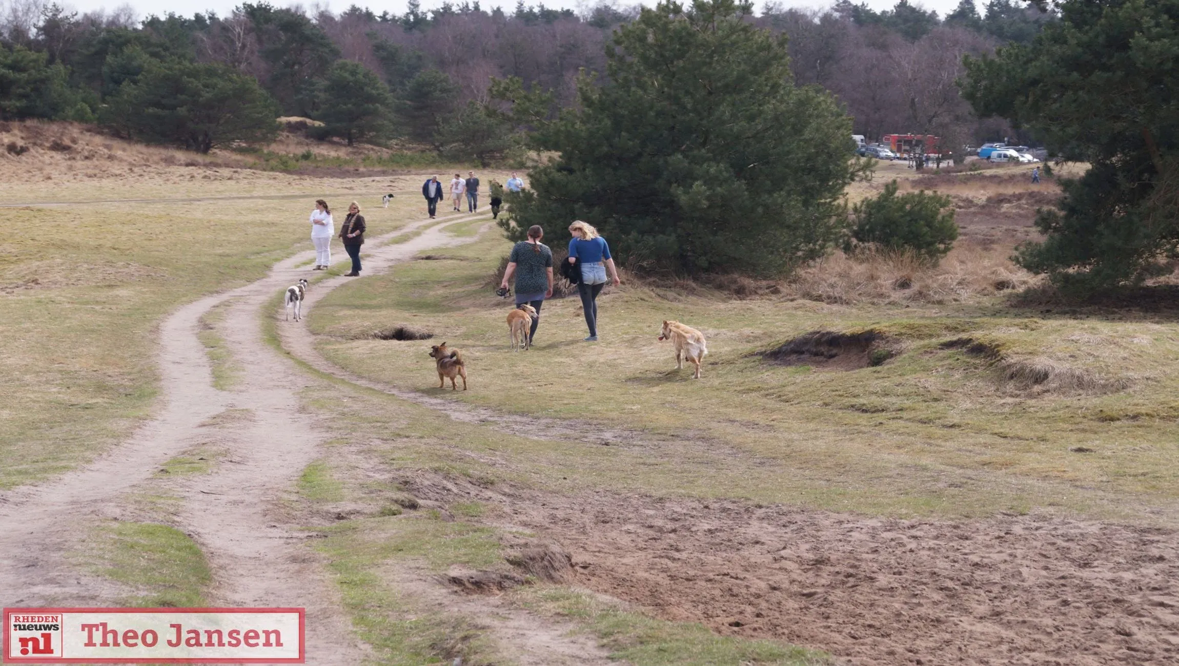 hondenlosloopgebied rozendaalse veld1 rhedennieuwsnl