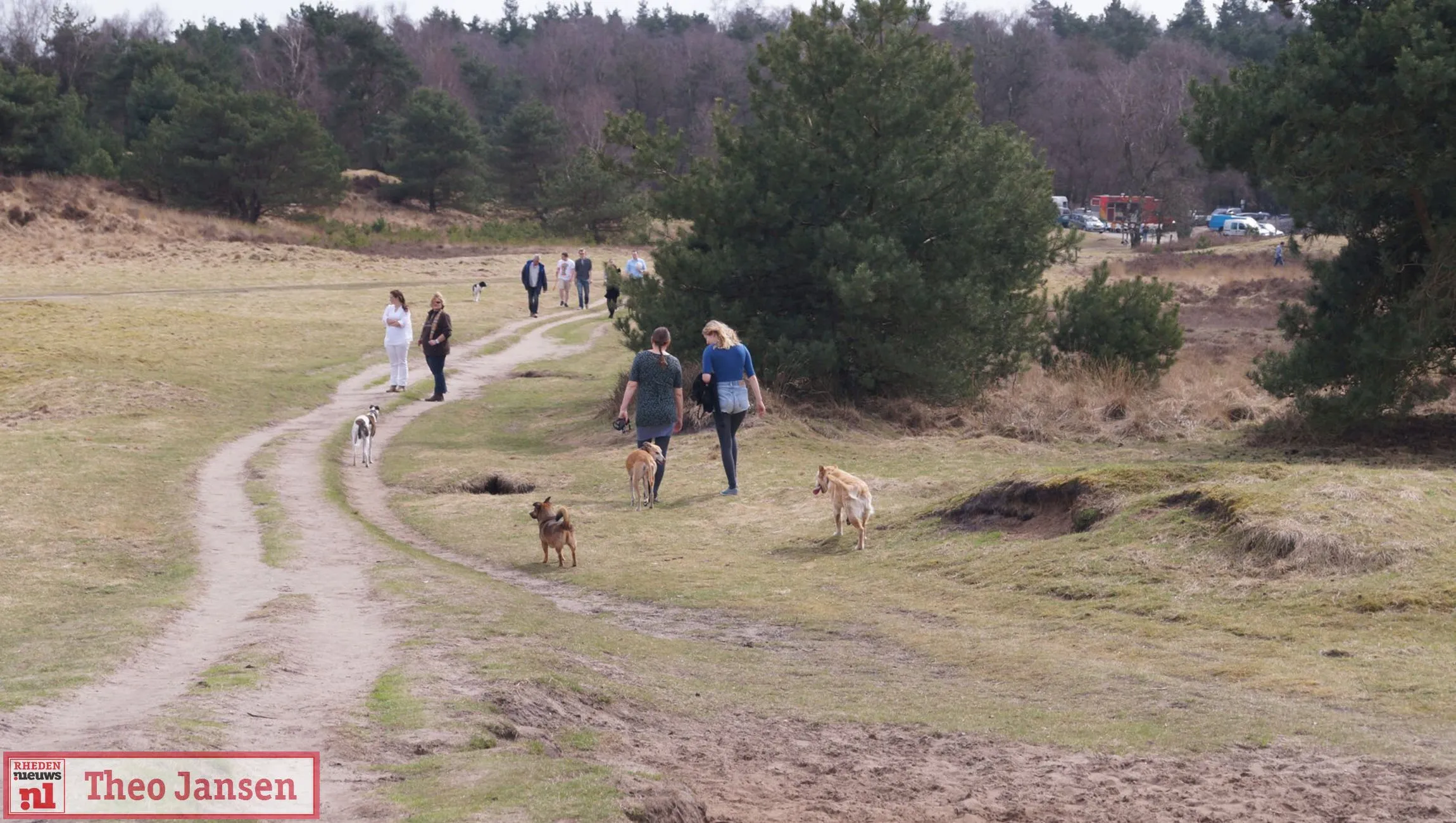 hondenuitlaatplaats rozendaalseveld rhedennieuwsnl