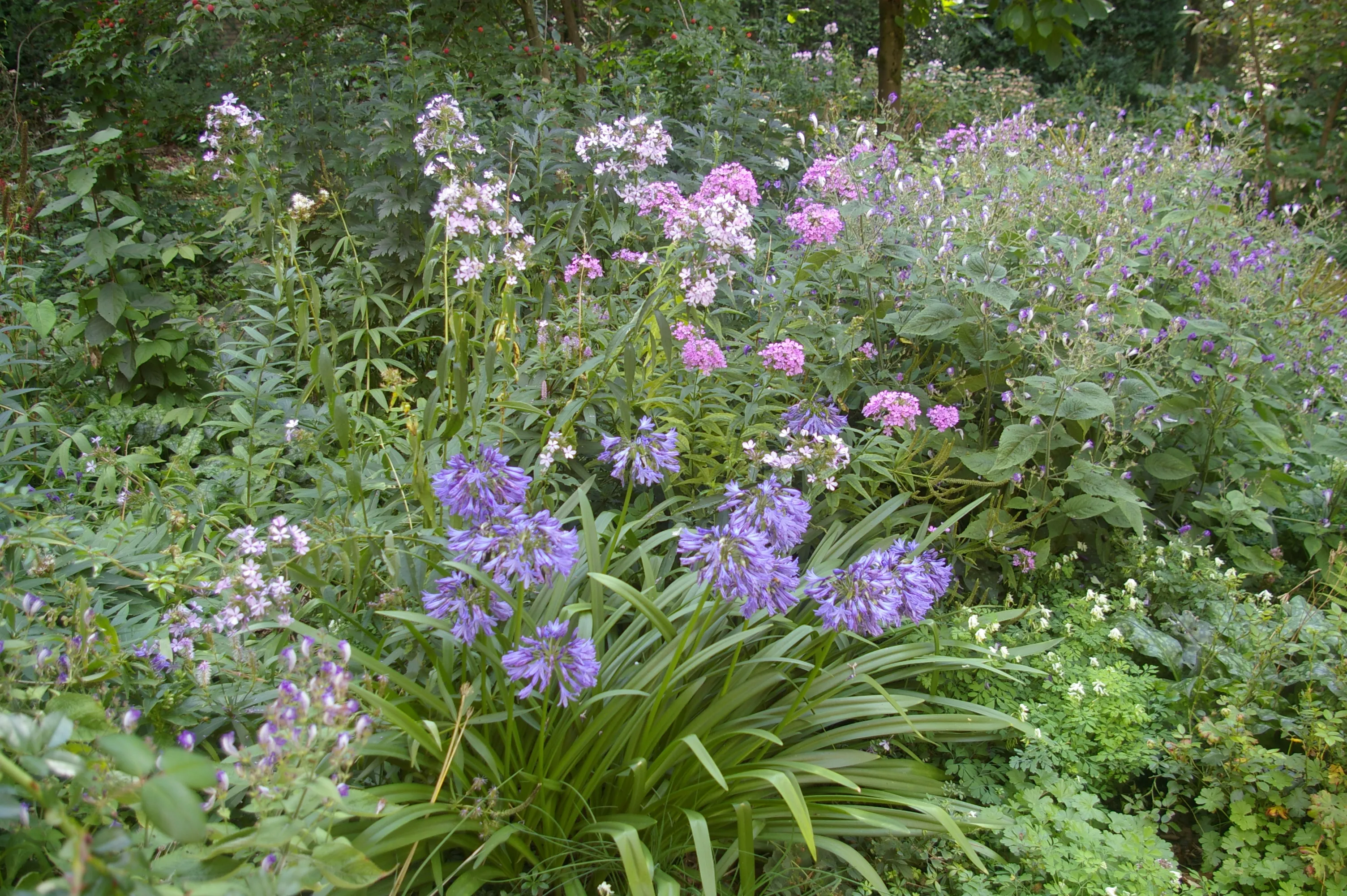 imgp3301