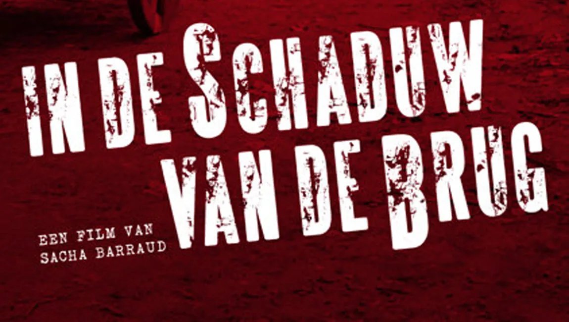 in de schaduw van de brug sacha barraud