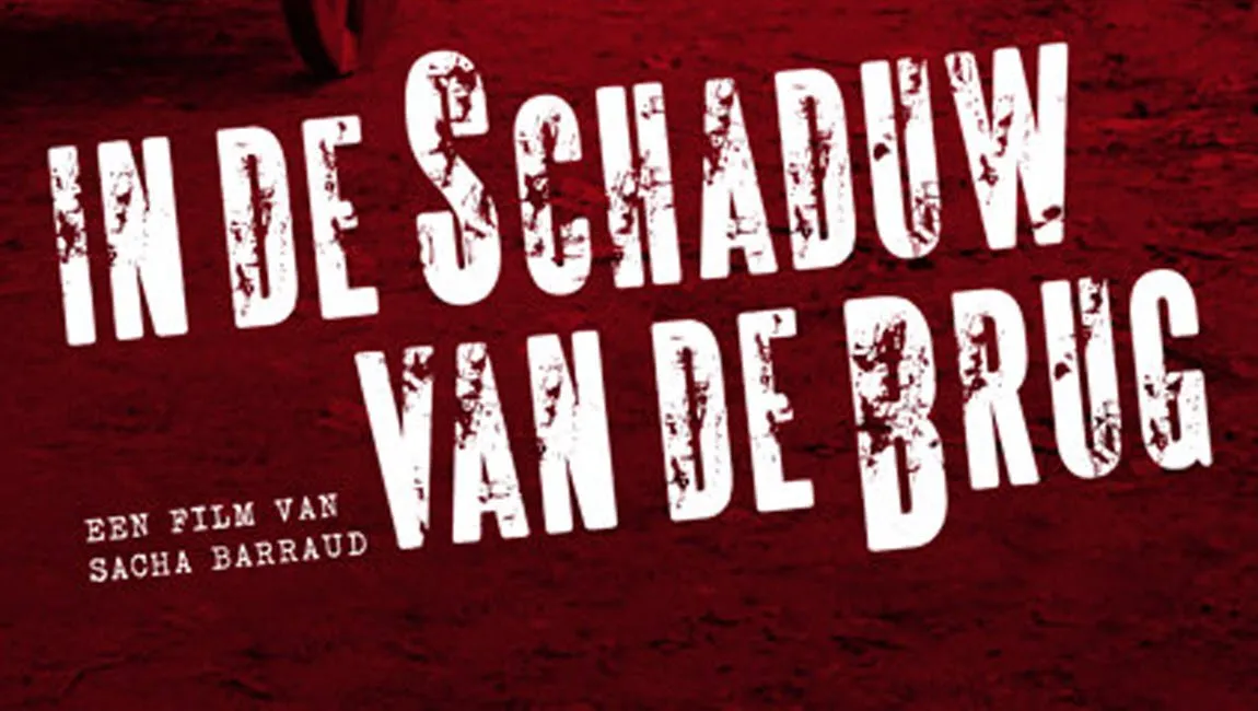 in de schaduw van de brug sacha barraud1