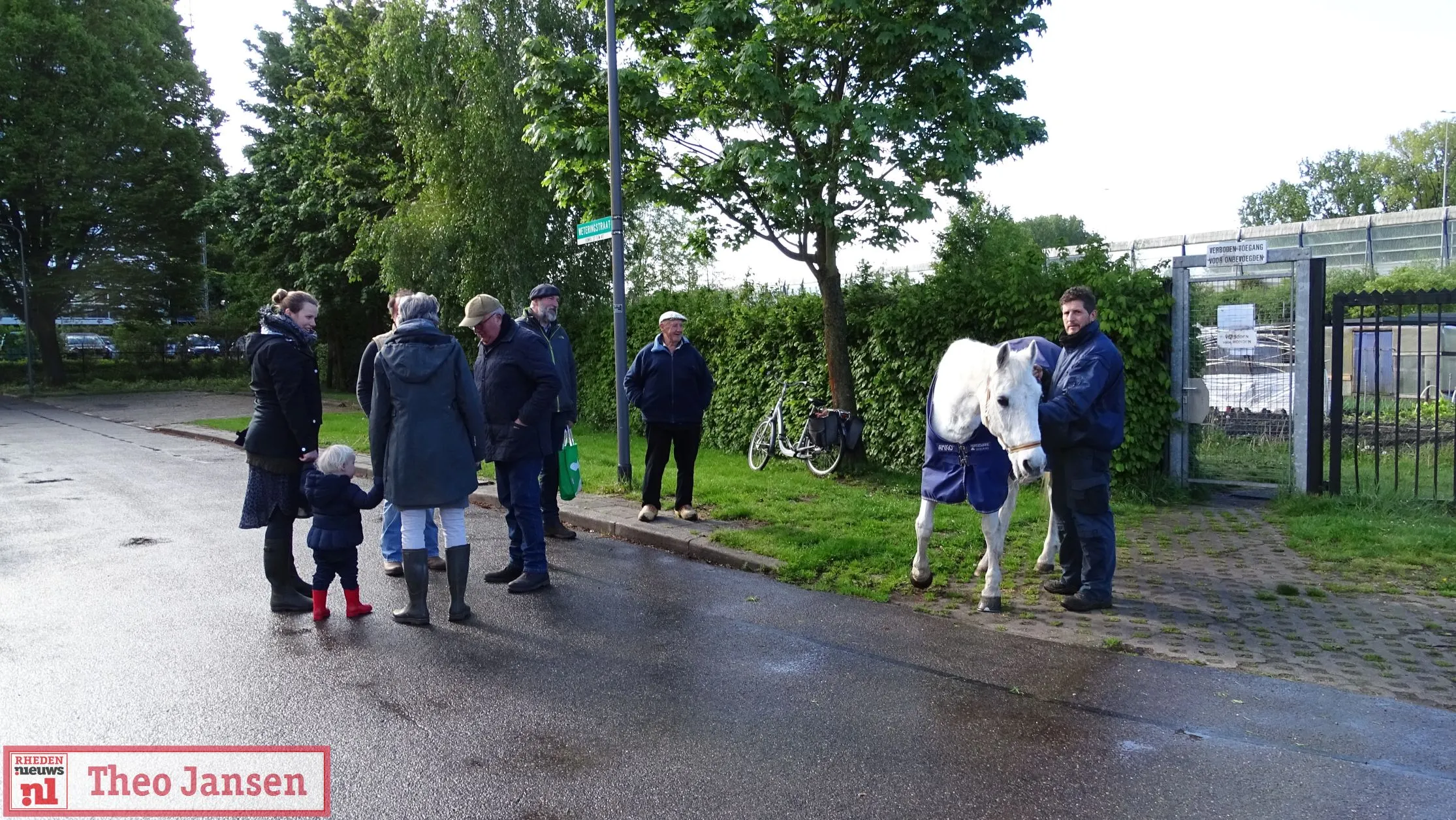 inscharen vee gerfdenweide 2019 1