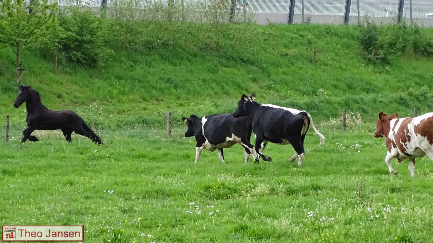 inscharing vee gerfdenweide velp 4