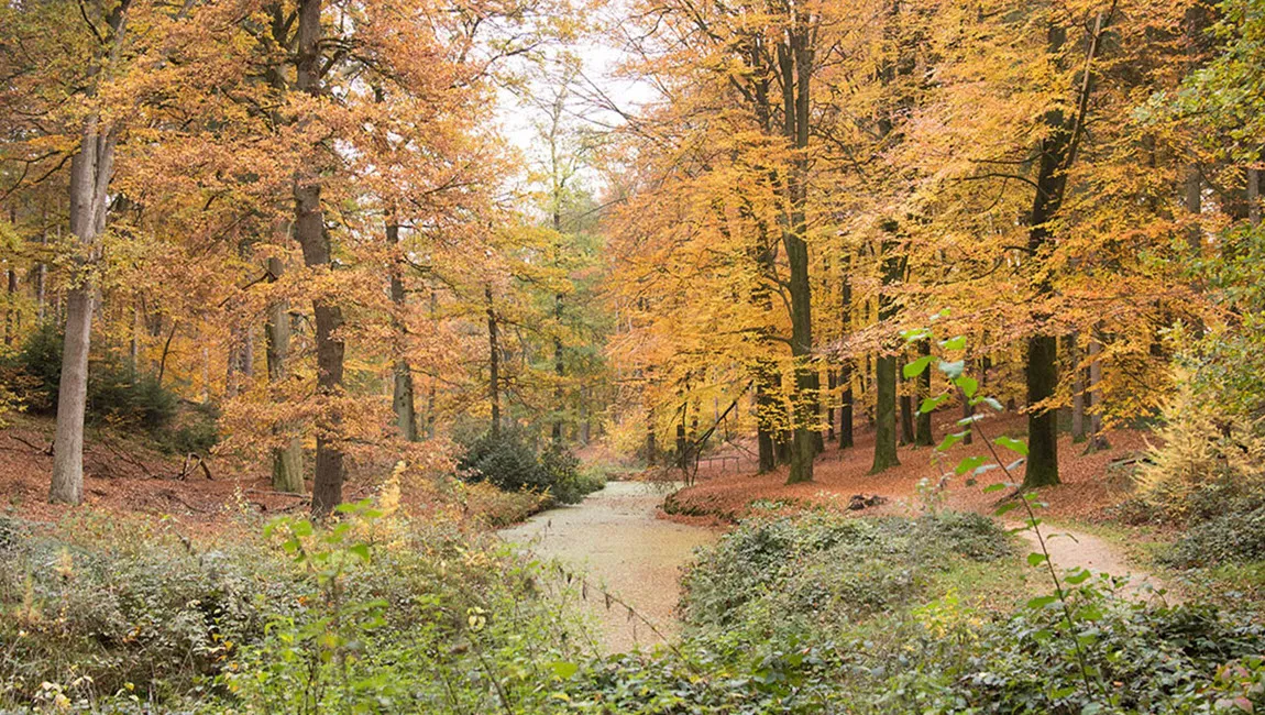 ivn wandeling landgoed heuven jaap vette