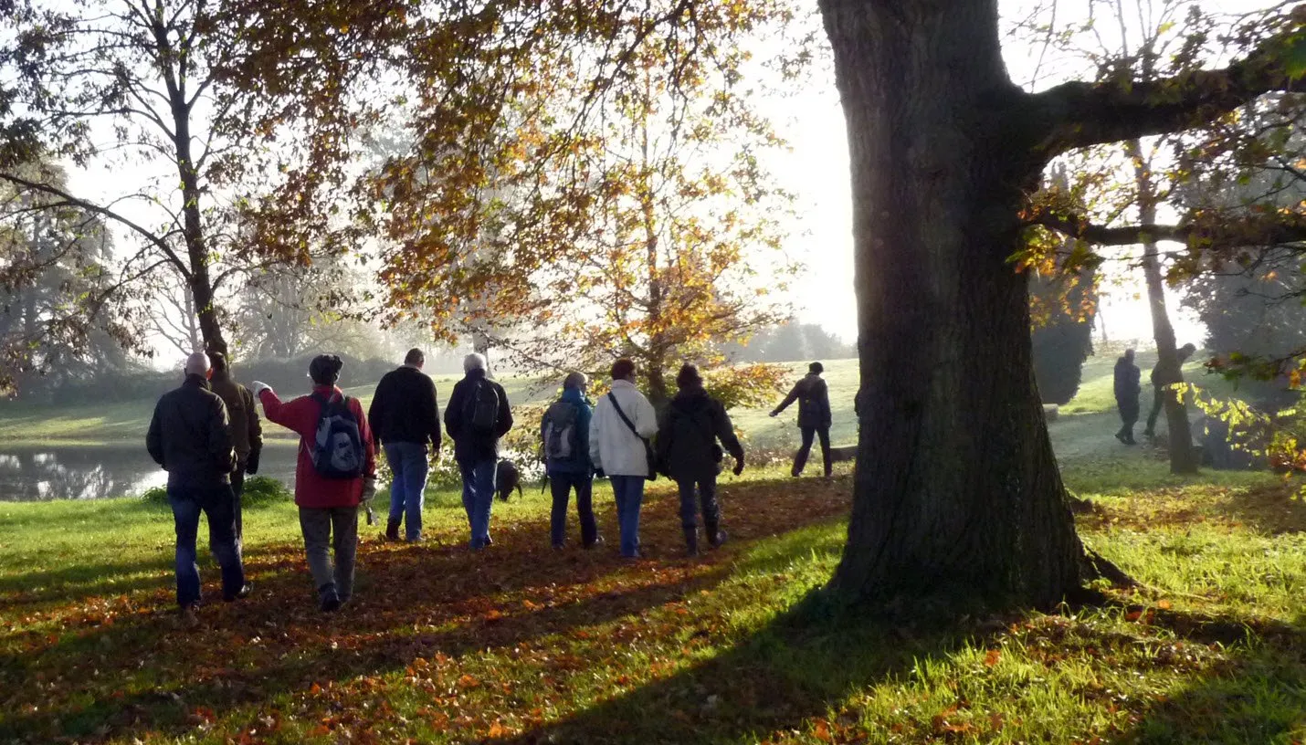 ivnov hof te dieren