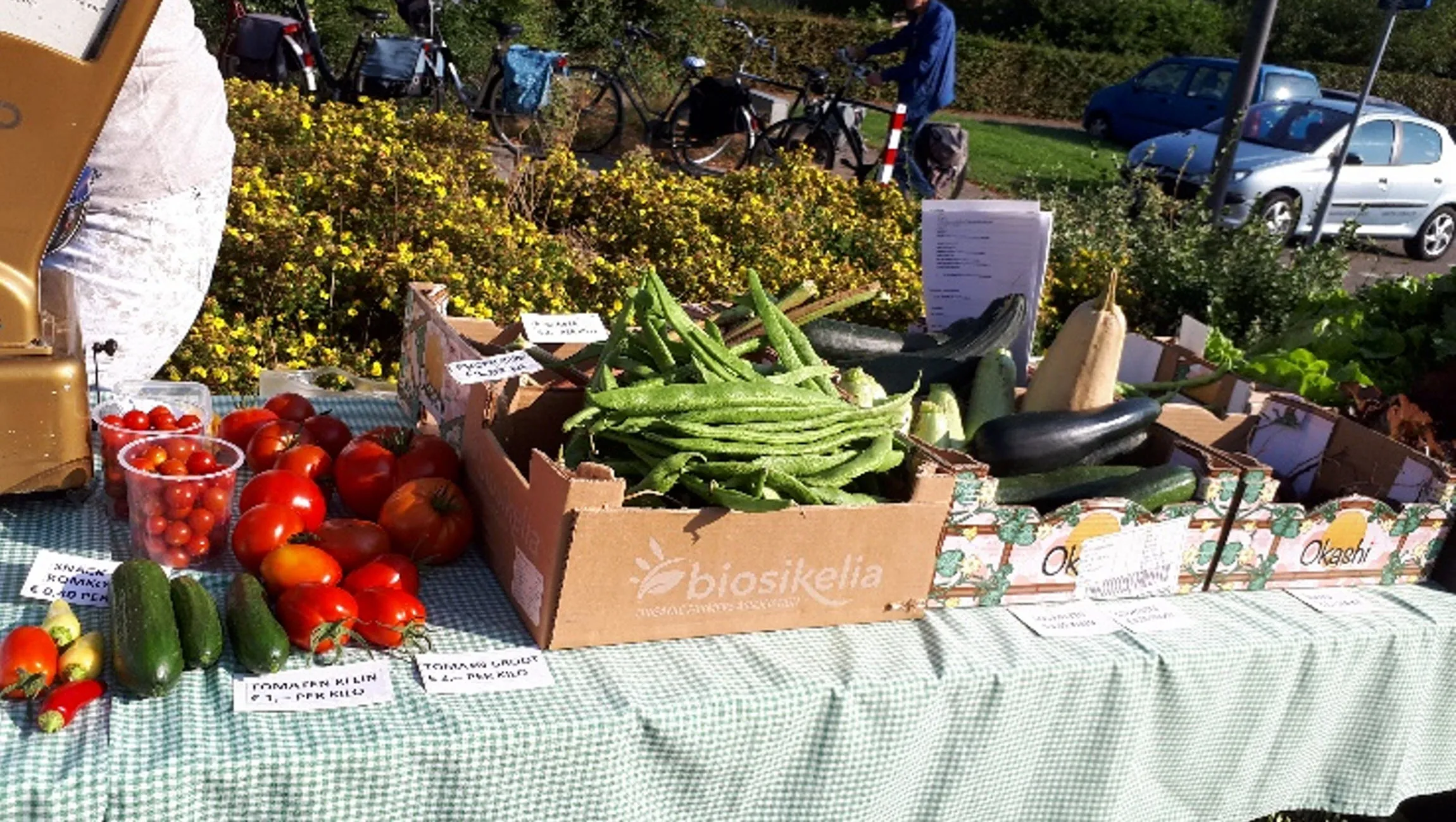 kerkmarkt dieren ria van voorst lockhorst4